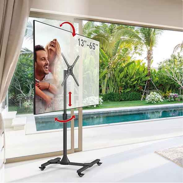 Support TV mobile Barkan 13"-65", « SW310H »