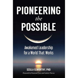 Pioneering the Possible: Awakened Leadership