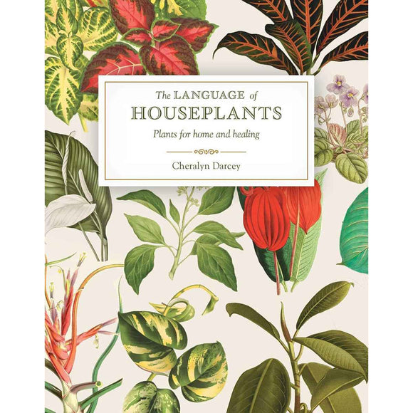 Language of Houseplants: Plants for Home and Healing