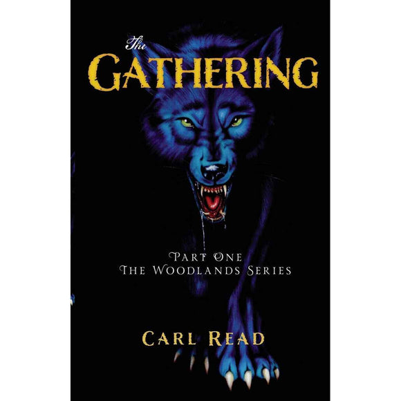 Gathering: Contemporary Fiction Novel