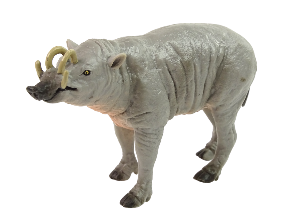 Figurine de collection Babirussa Sulaweska Animaux du Monde
