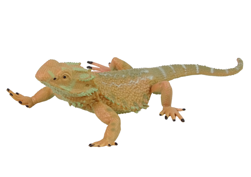 Figurine de collection agama barbu animaux du monde