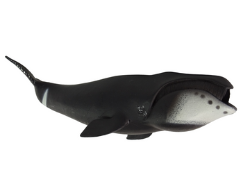Large Greenland Whale Collector's Figurine World The Sea - 0