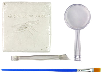 Kit de fouilles archéologiques Squelette de dinosaure Ptéranodon Hologramme 3D