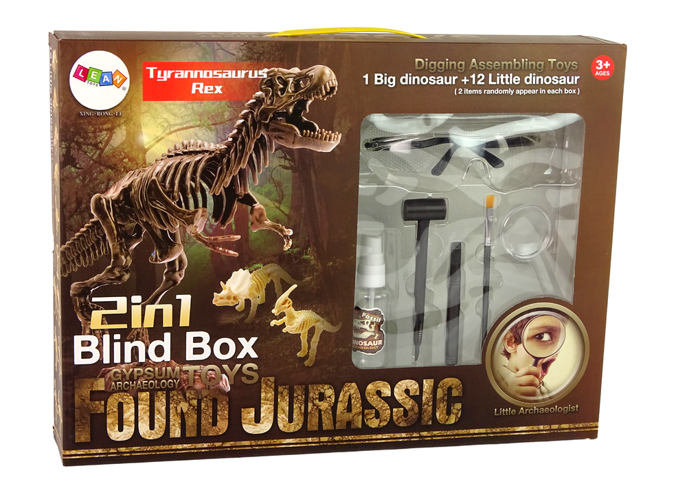Ensemble 2 en 1 d'archéologie, squelette de dinosaure et tyrannosaure