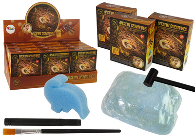 Coffret de fouilles de créatures anciennes : surprise d'ammonites