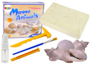 Coffret de découverte d'excavation Animaux marins