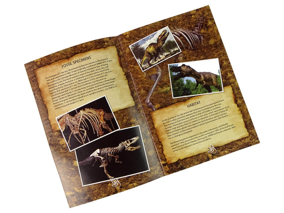 Kit éducatif sur les fouilles de dinosaures tyrannosaures