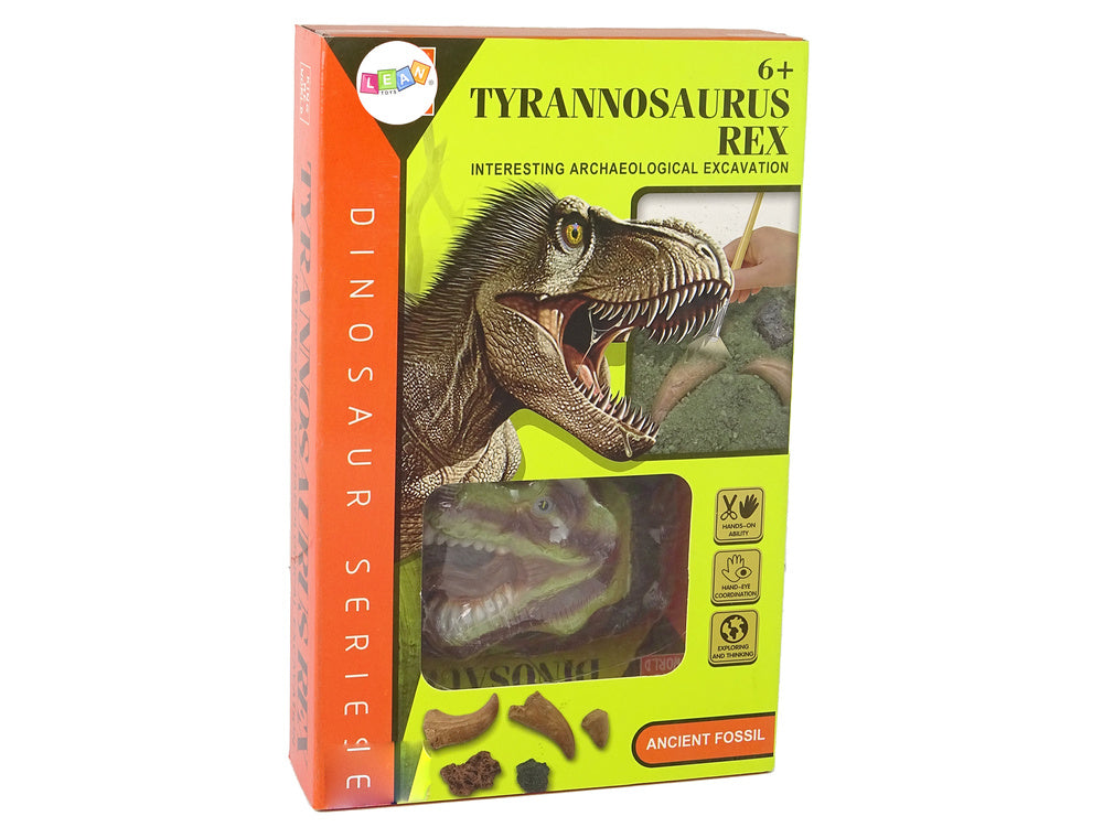 Kit éducatif sur les fouilles de dinosaures tyrannosaures