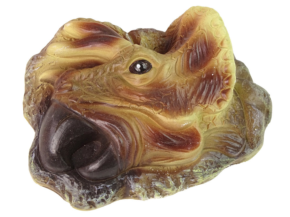 Kit éducatif sur l'excavation du dinosaure Triceratops