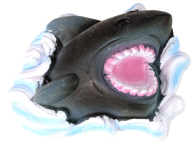 Ammonite Shark Excavation Educational Kit