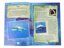 Ammonite Shark Excavation Educational Kit