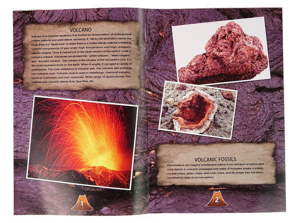 Volcano Excavation Educational Kit