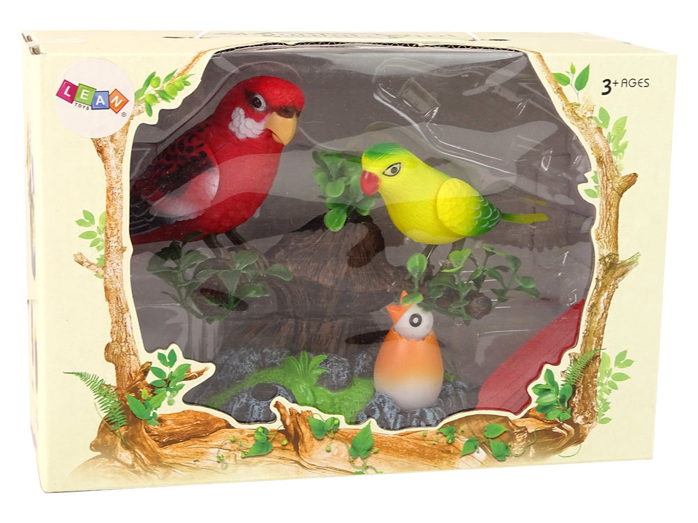 Perruches chantantes et mobiles dans un arbre coloré