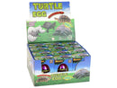 Hatching Magic Turtle Egg Growing 6 cm.-4
