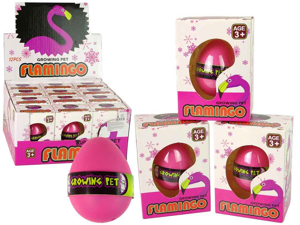 Œuf de flamant rose en croissance 6 cm