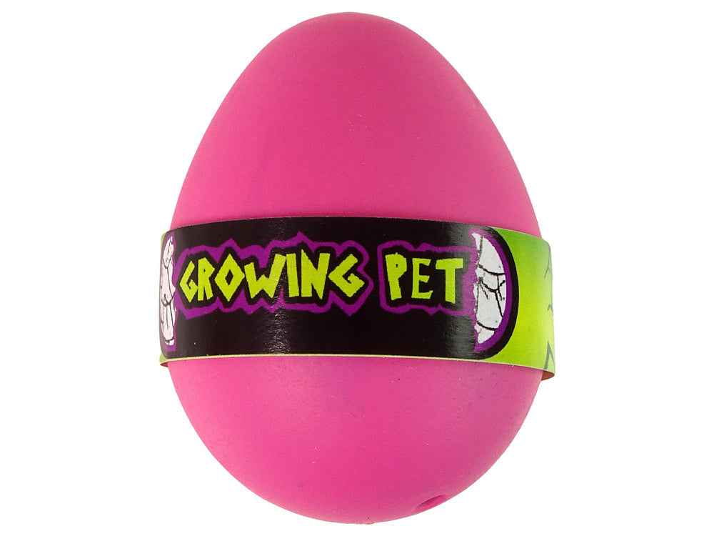 Œuf de flamant rose en croissance 6 cm