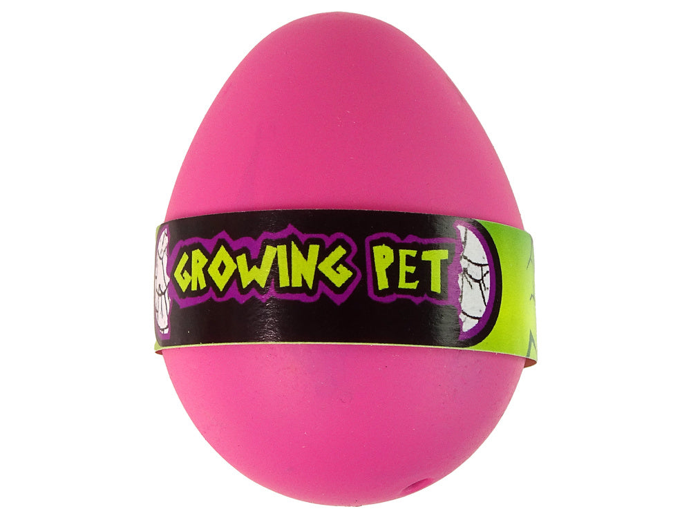 Œuf de flamant rose en croissance 6 cm