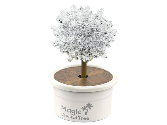 Magic Tree Crystal Growing Silver Experiences