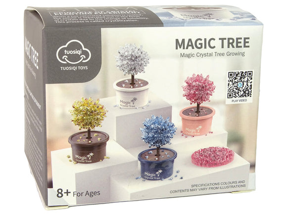 Magic Tree Crystal Growing Silver Experiences