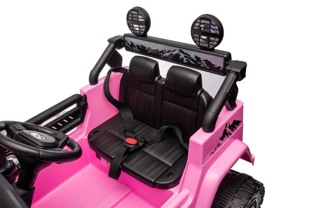 Batterie auto toyota fj rose