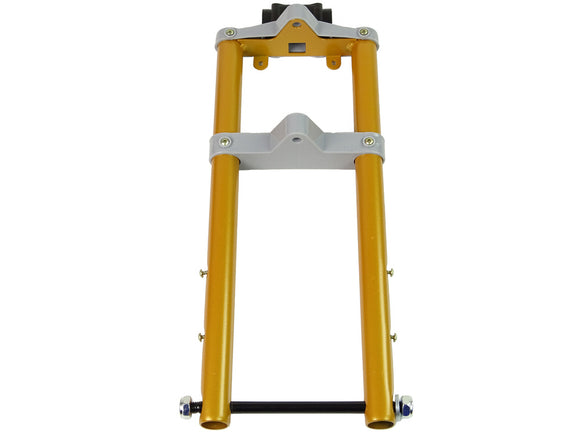 Front fork with axle for Aprilia A007 motorbike