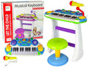 Organ Keyboard Chair Microphone Blue
