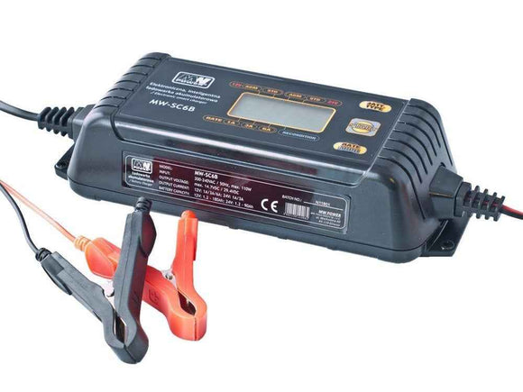 RoGer Battery Charger 12V / 24V