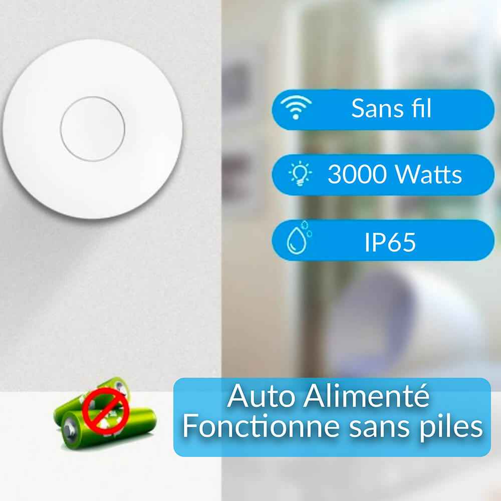 Kit prise commandée avec télécommande sans fil et sans pile - PURE11