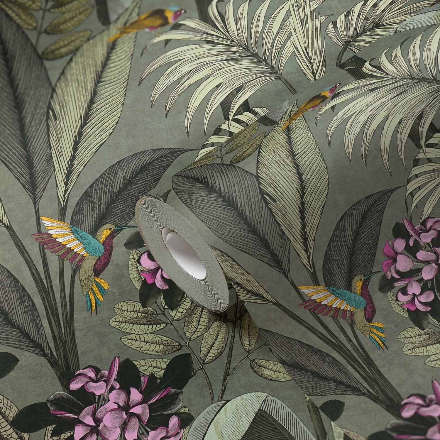 Image 4