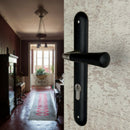 2 poignées de porte sur plaque CLEO, Trou de cylindre - entrée - bureau - service, Finition bois noir, Entraxe standard 195 mm-1