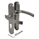 2 poignées de porte sur plaque AUDACE, Trou de cylindre - entrée - bureau, Finition aluminium nickel mat, Entraxe standard 195 mm-5