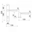 2 poignées de porte sur plaque CASUAL, Trou de cylindre - entrée - bureau, Finition aluminium nickel mat, Entraxe standard 195 mm