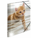 Herma Elasticated Glossy PP Folder A4 Animals-4
