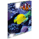 Herma Elasticated Glossy PP Folder A4 Animals-6