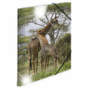 Herma Elasticated Glossy PP Folder A4 Animals-7