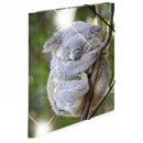 Herma Elasticated Glossy PP Folder A4 Animals-9