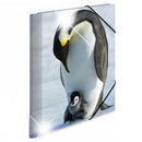 Herma Elasticated Glossy PP Folder A4 Animals-10