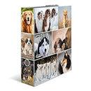 Herma Animals Motif File A4-4