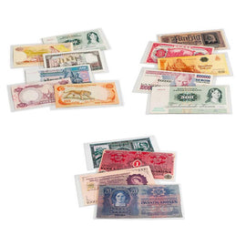 Leuchtturm Basic PVC Banknote Sleeve 50pk - 0
