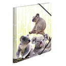 Herma Elasticated PP Folder Koala Family-4