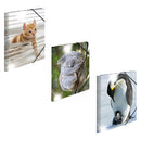 Herma Elasticated Glossy PP Folder A3 Animals-3