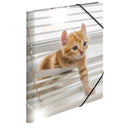Herma Elasticated Glossy PP Folder A3 Animals-4
