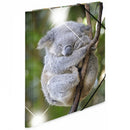 Herma Elasticated Glossy PP Folder A3 Animals-9