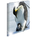 Herma Elasticated Glossy PP Folder A3 Animals-10