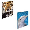 Herma Elasticated PP Folder A3 Animals-3