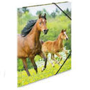 Herma Elasticated PP Folder A3 Animals-6