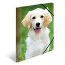 Herma Elasticated PP Folder A4 Animals-5