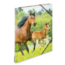 Herma Elasticated PP Folder A4 Animals-6