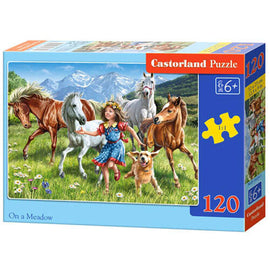 Castorland in a Meadow Jigsaw Puzzle 120pcs - 0